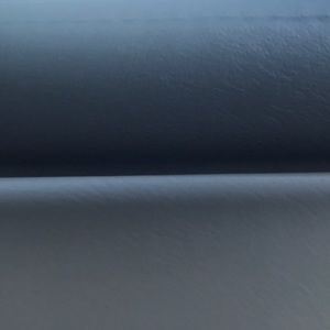 Meet your Posher, Ricky